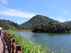 -广州市石门国家森林公园