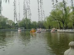 -丰台花园