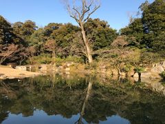 -京都御所