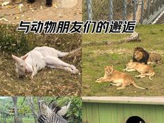 -无锡动物园·太湖欢乐园