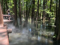 -东湖落雁景区