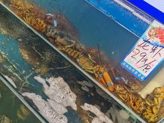 -仙螺岛海鲜自助餐厅(总店)