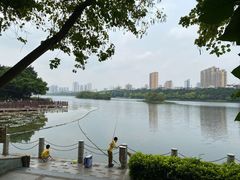 -南宁南湖公园
