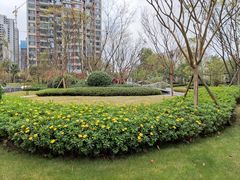 -鲜塘宴·千岛湖大鲫鱼(南湖店)