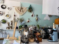 -平行世界·猫咖(首经贸店)