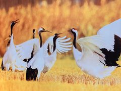 -老娘舅(吴山路店)