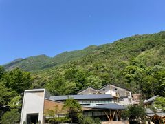 -大鄣山卧龙谷景区