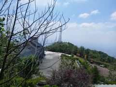 -东莞市大岭山森林公园