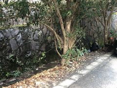 -北高峰
