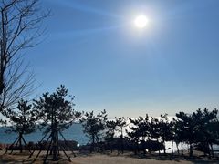 -小麦岛公园