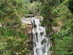 -海南热带雨林国家公园吊罗山景区