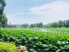 -长春市南湖公园