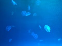 -多彩贵州城极地海洋世界