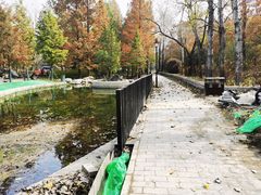 -白水寺森林公园