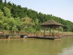 -大湾区中央湿地公园