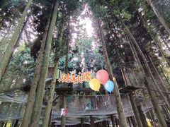 -武陵山森林公园