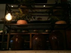 -东园小馆·早茶·淮扬小炒(江都路店)