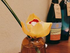 -觅唐MITONG(鸟巢店)
