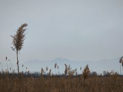 -野鸭湖国家湿地公园