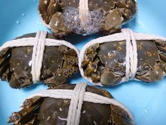 -阳澄湖大闸蟹·琼灵阁牌品牌连锁(吴中总店)