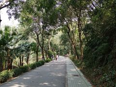 -云溪植物园