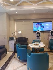 -碧莲盛·不剃发植发