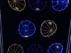 -咕嘟草帽鱼·牛奶一样的鲜鱼汤(包河万达广场创始店)