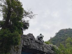 -柳州市动物园