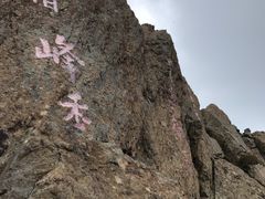 -白草畔自然风景区