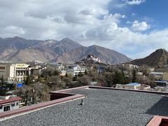 -西藏自治区图书馆