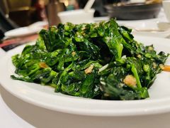 -新同乐鱼翅酒家(美丽华店)