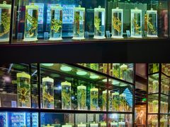 -广东中医药博物馆