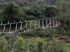 -仙岛湖旅游风景区