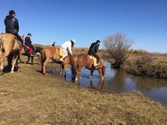 -塞罕坝国家级自然保护区