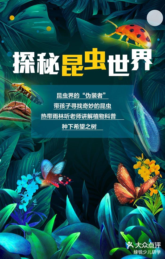 1日周末活动探秘神奇的昆虫世界