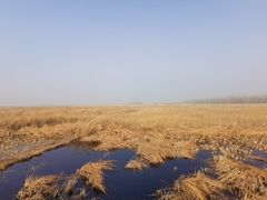 -野鸭湖国家湿地公园