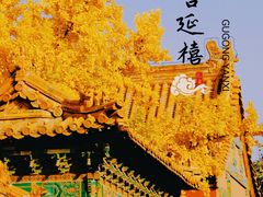 -故宫博物院(故宫)