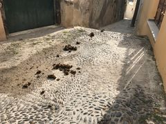 -皮尔戈斯