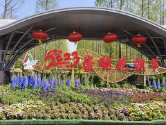 -东平国家森林公园