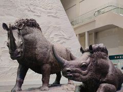 -大庆市博物馆