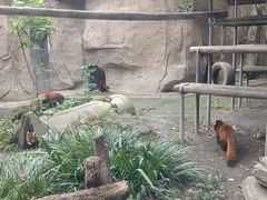-成都动物园