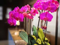 -舟山希尔顿酒店