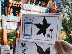 -香山公园