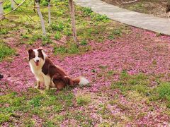 -大连植物园