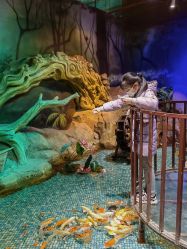 -酷嗒动物文化乐园(cutezoo西溪乐天城店)