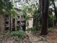 -马王堆汉墓遗址