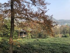 -杭州少年儿童公园