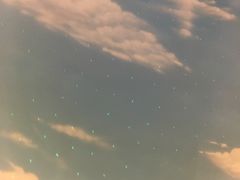 -漳州宾馆威尼斯西餐厅(胜利西路店)