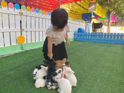 -萌宠亲子动物乐园(槐房万达店)