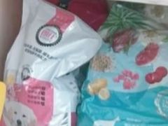 -乐琪宠物医院·犬猫专科·骨外科·急重症